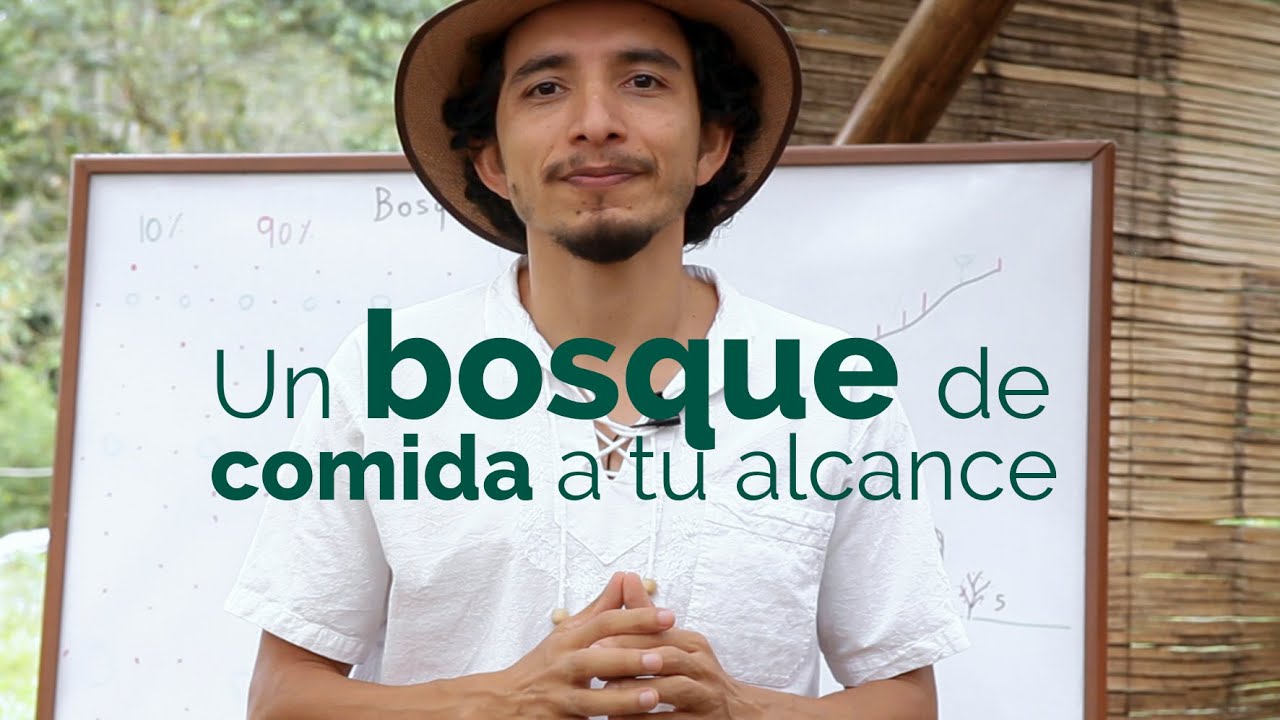 Diseño, implementación y mantenimiento de una alacena natural