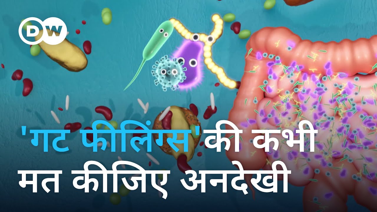 पाचन तंत्र को क्यों कहते हैं दूसरा मस्तिष्क [Is the gut our second brain?]