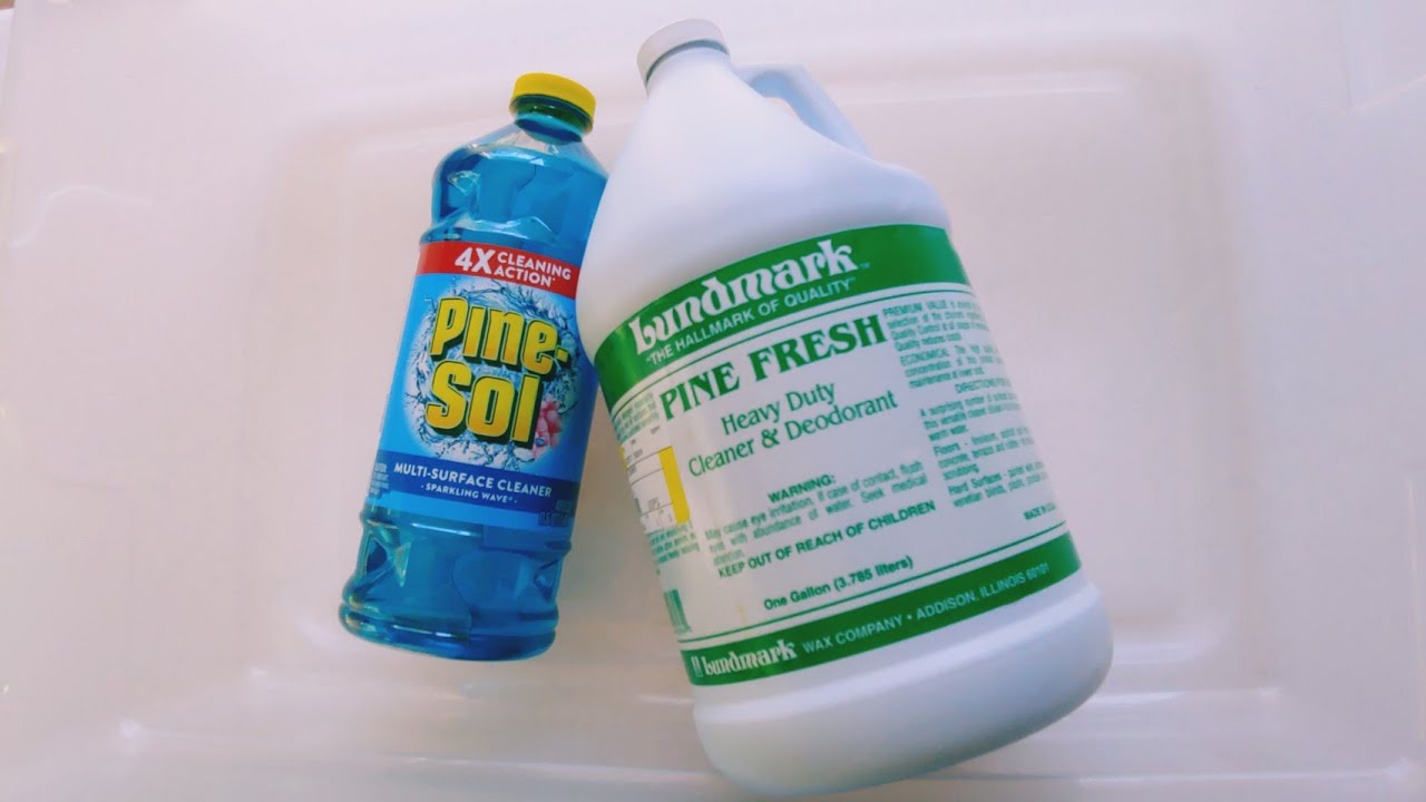 Lundmark Pine + Blue PineSol 🌲💙 SUPER SUDSY SPONGE SQUEEZING