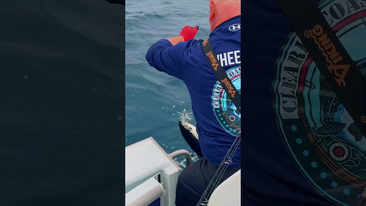 Some awesome Haida Gwaii Albacore Tuna Fishing. Check out full video! #tuna #tunafishing #fishing