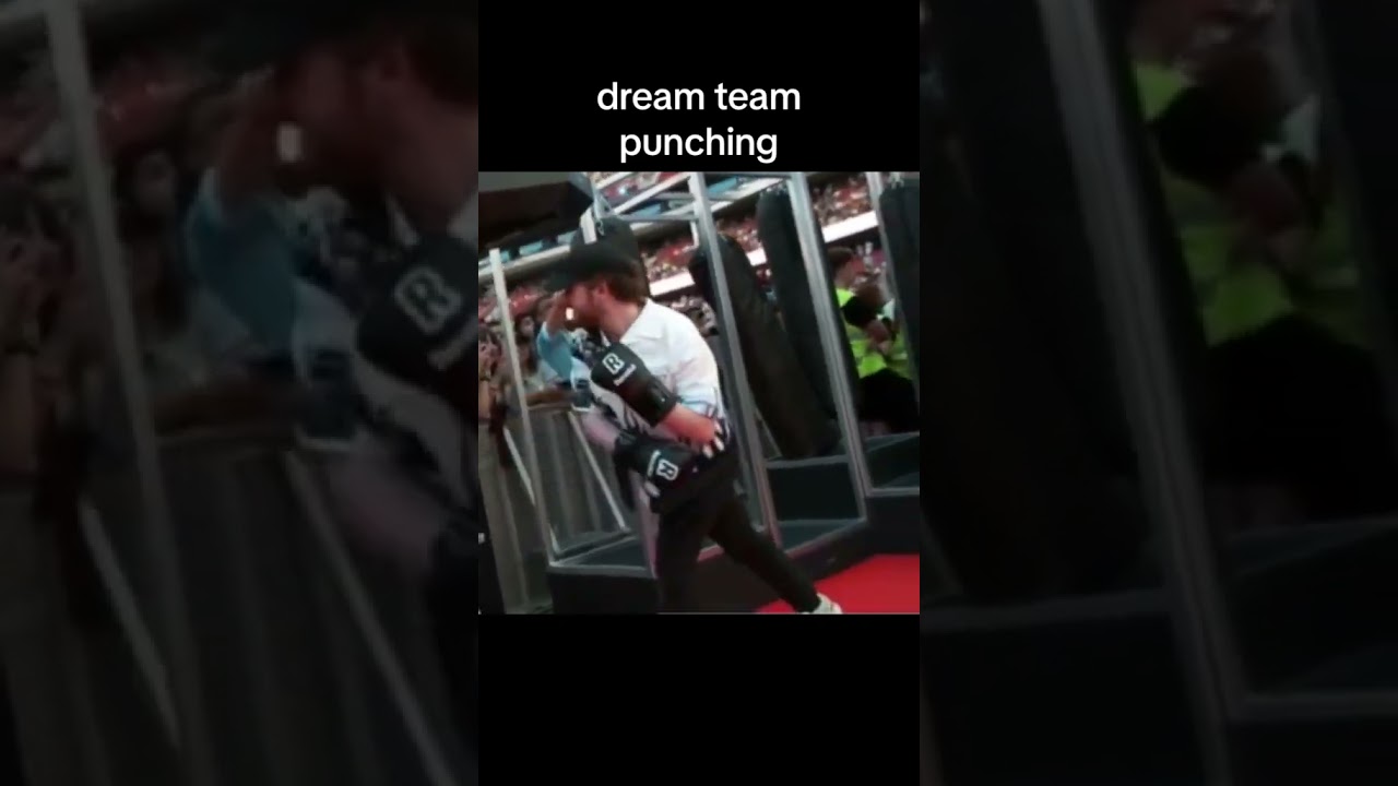Dream Team punching bag