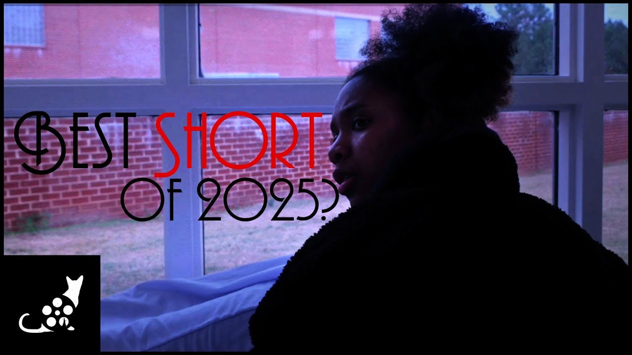 Top 10 Short Films (2025)