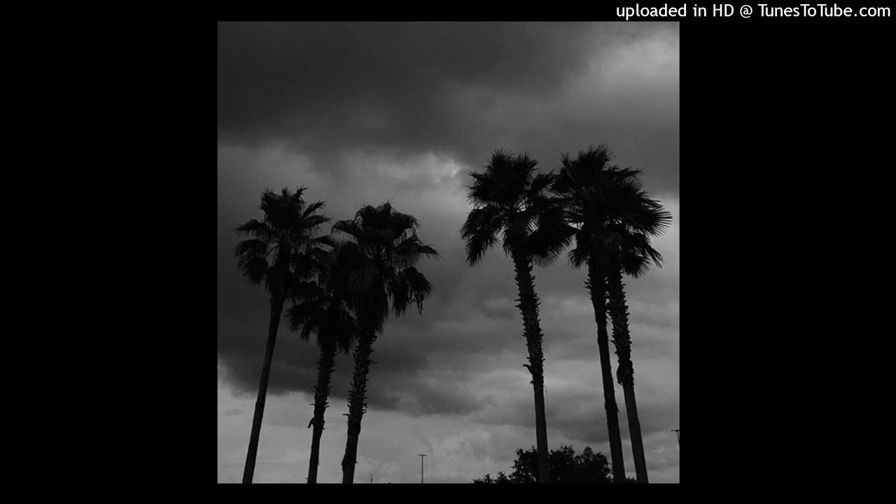 [palm trees] $LA1N + DRUG$LUTT + old XXX type beat
