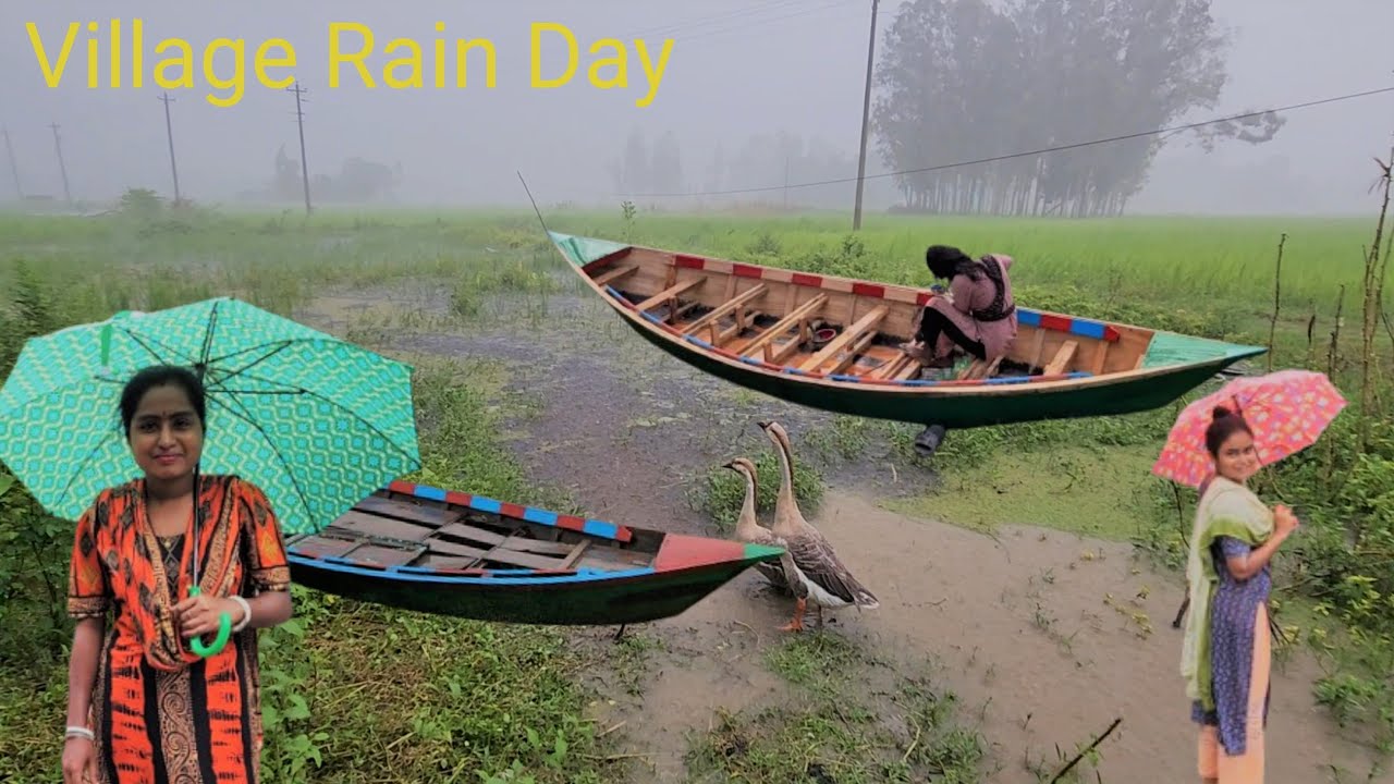 Wonderful rainy season in bangladesh village | Village Rainy day | Village Vloger |