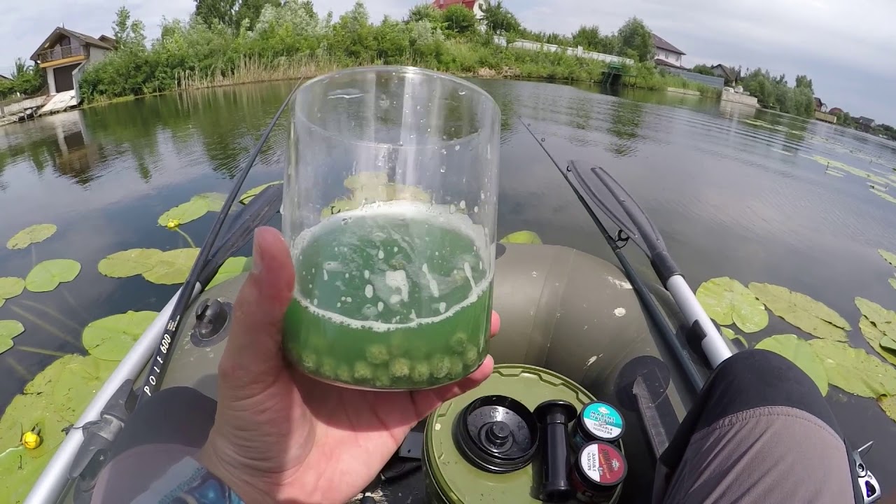 Ловля рыбы летом на ДИНАМИТ! Полезные советы