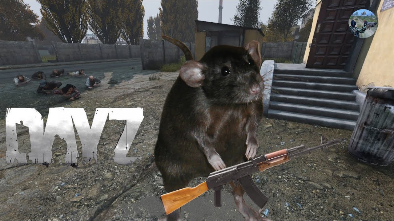 DayZ - King Rat of Berezino Part 2 (Solo bandit tutorial)