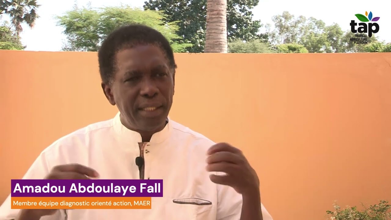 [Projet TAP-AIS/ Sénégal] Interview avec Amadou Abdoulaye Fall