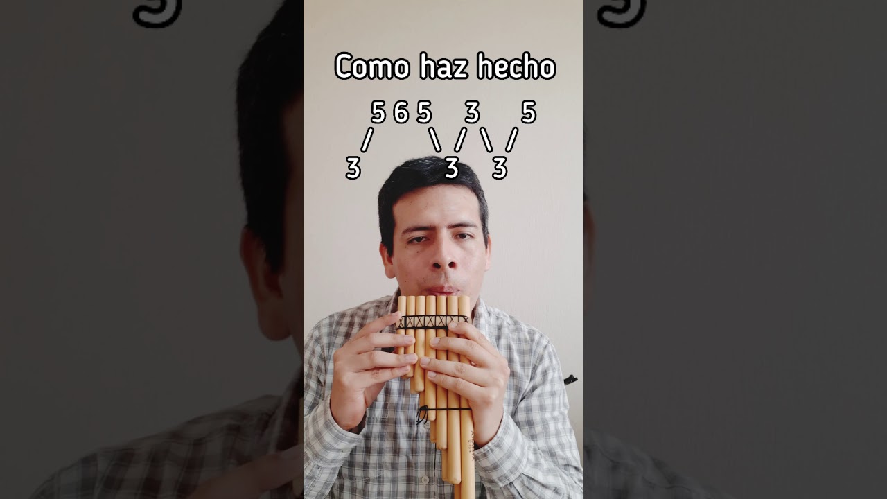 Como haz hecho en zampo&ntilde;a