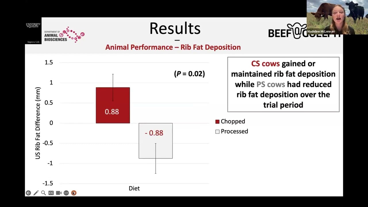 Impact of Feeding Chopped Straw on Methane Production, Madeline McLennan