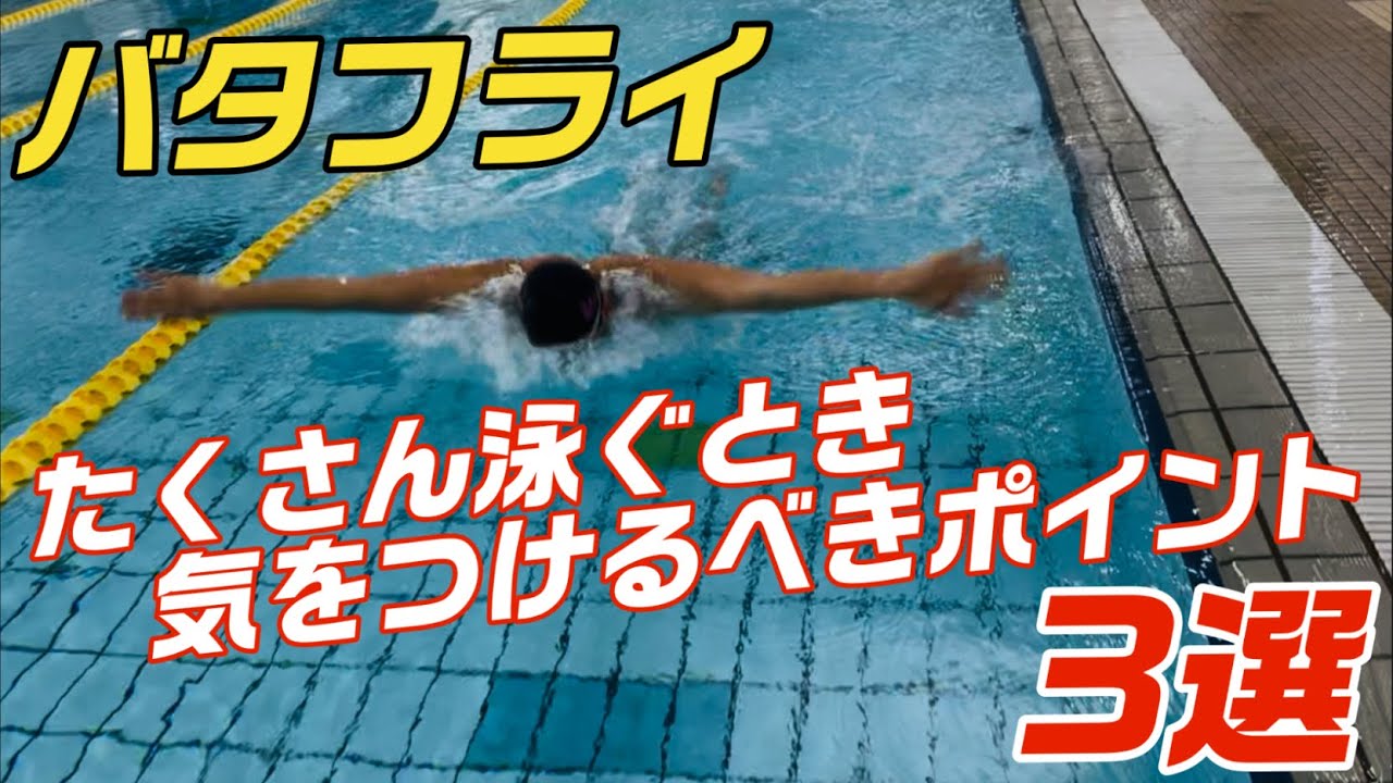 【バタフライ】たくさん泳ぐときに気をつけるべきポイント！