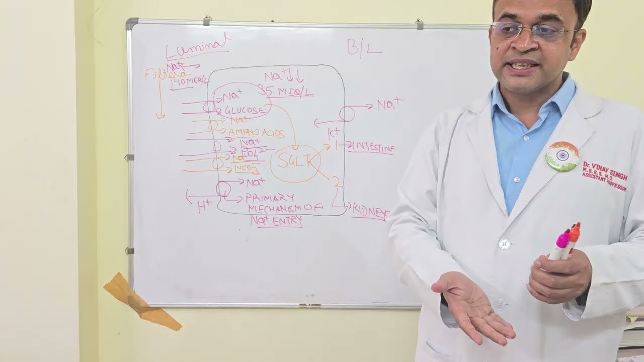 MECHANISM OF REABSORPTION IN PCT AND IT'S CLINICAL SIGNIFICANCE IN DIABETICS