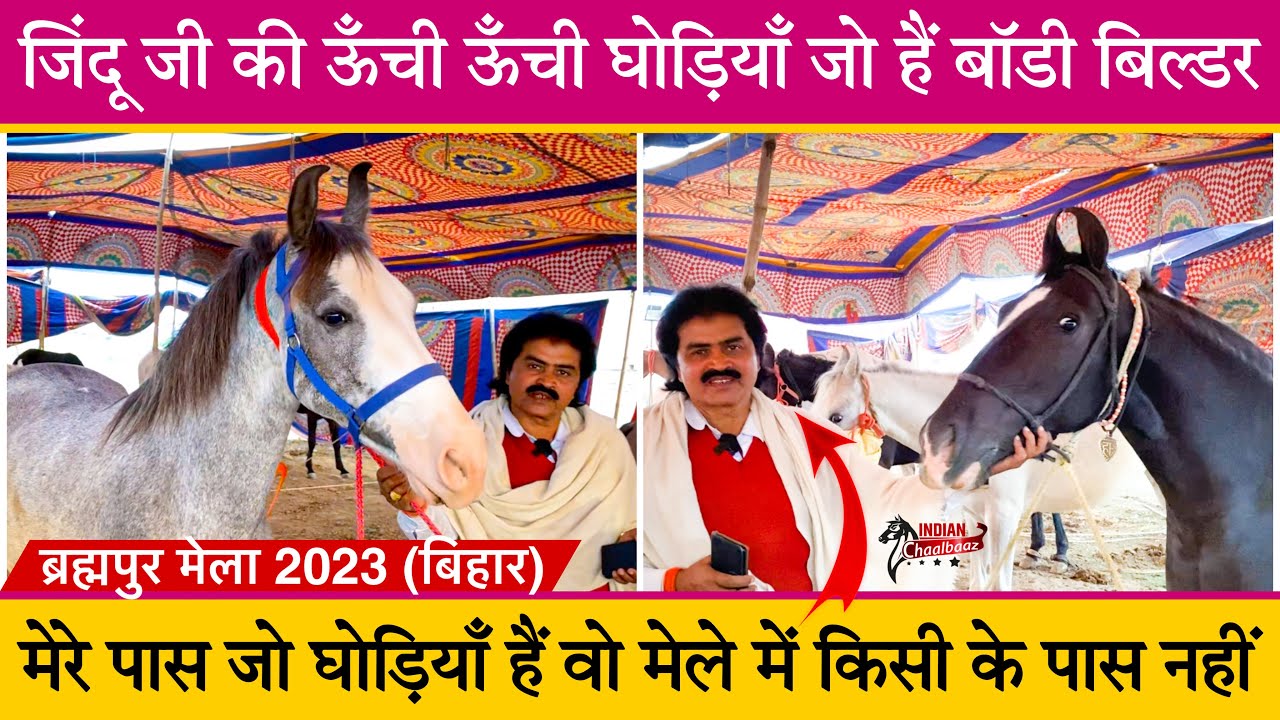जिंदू जी की ऊँची ऊँची घोड़ियाँ जो हैं बॉडी बिल्डर Brahmapur Mela 2023