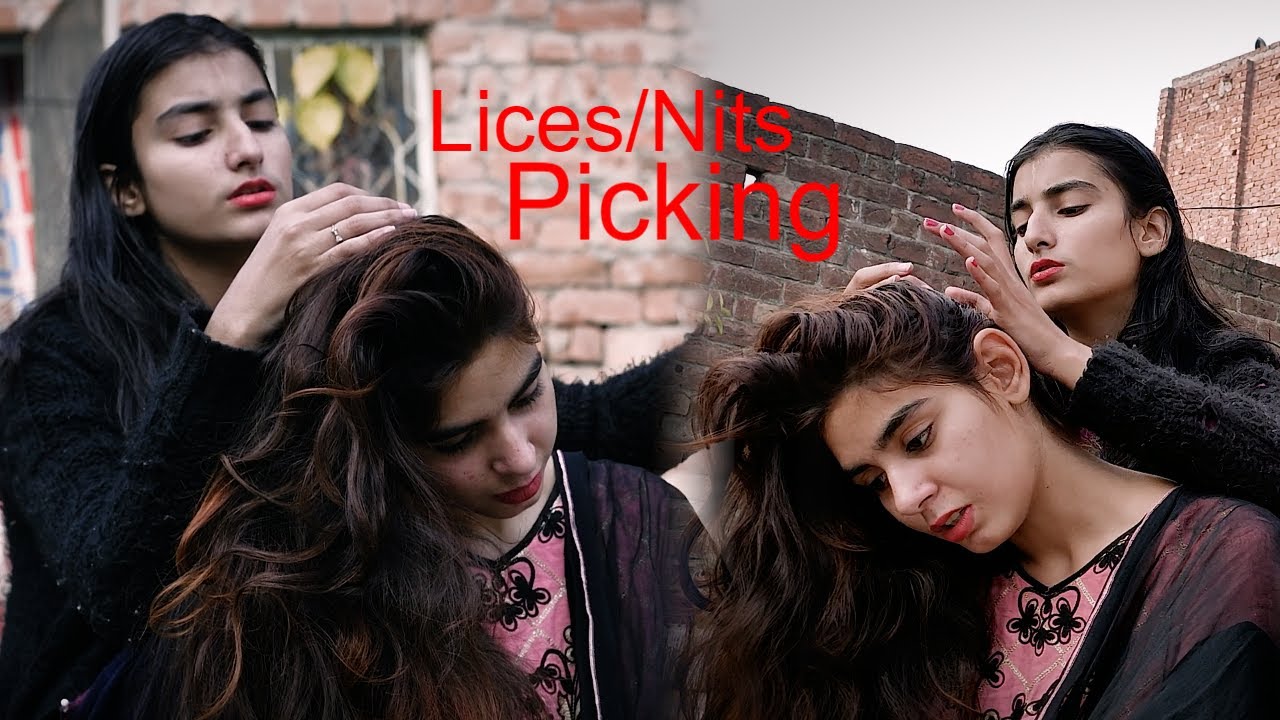 Lices Nits Picking Cousins Best Time and Fight | ASMR Pakistan