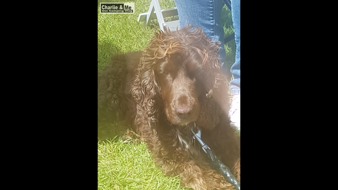 Charlie & Me Revisit The Glen Of Aherlow Caravan & Camping Park in Co. Tipperary