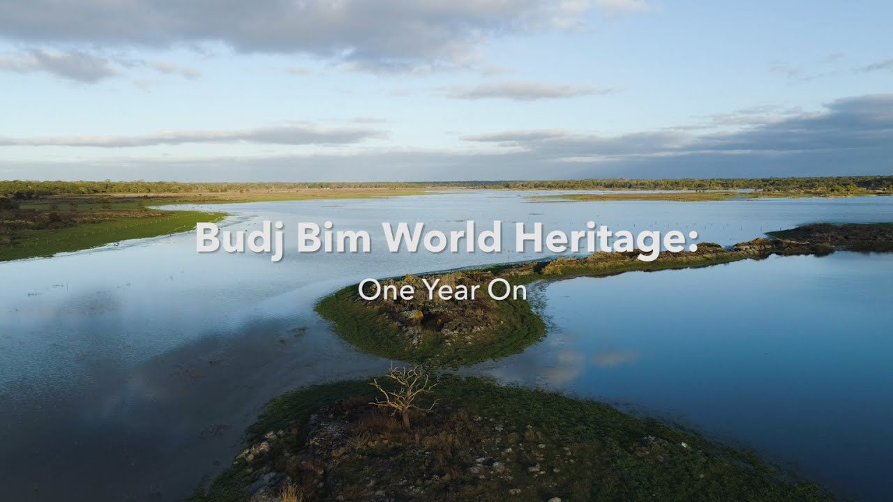 Budj Bim - One Year On.