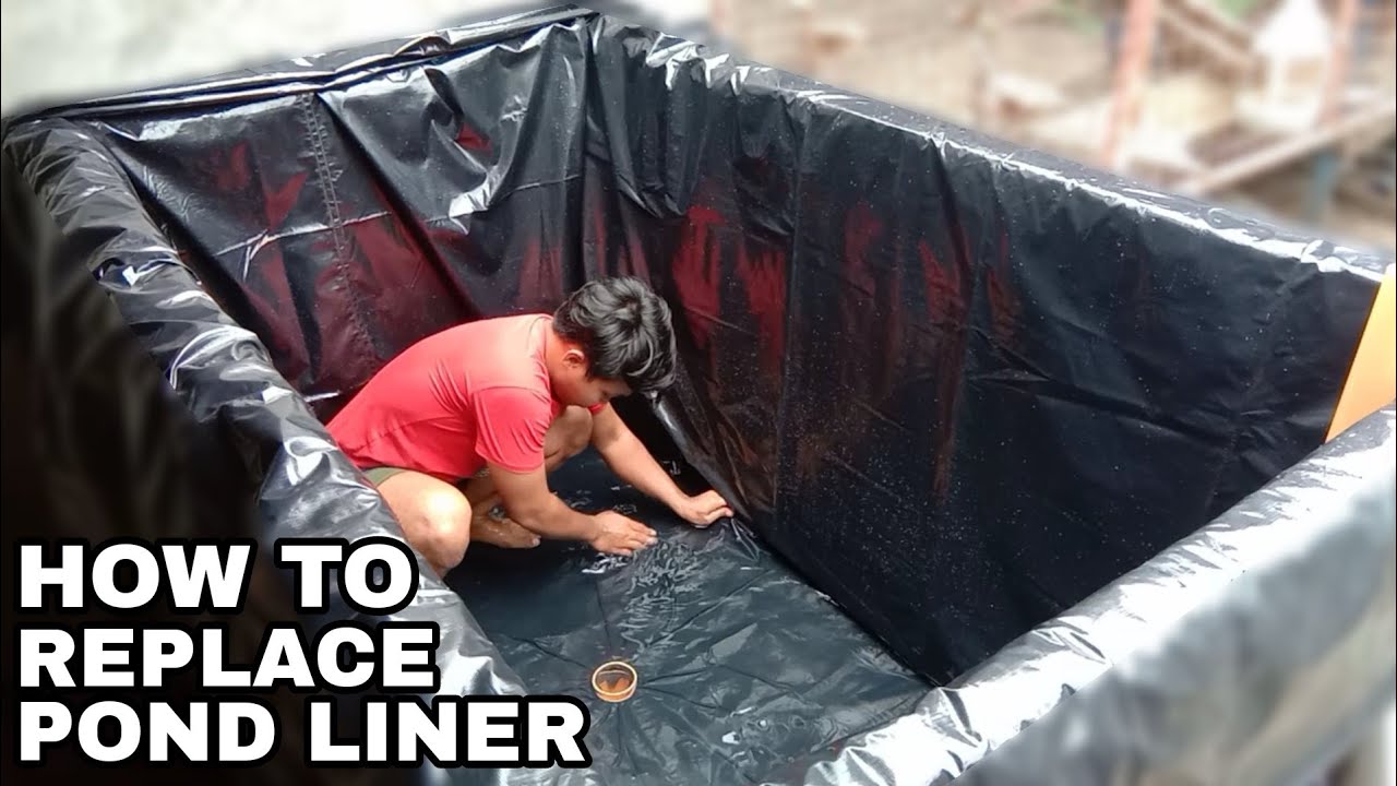 DIY WOODEN POND Replacing Pond Liner