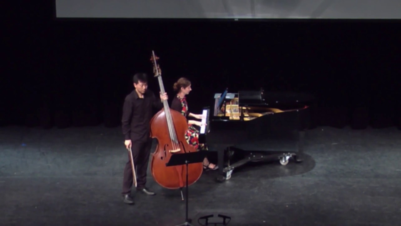 DaXun Zhang performs the Vanhal Concerto mvt 1
