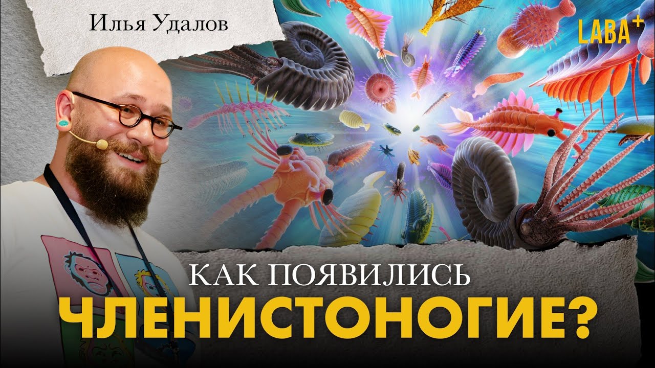 Как появились членистоногие? Илья Удалов