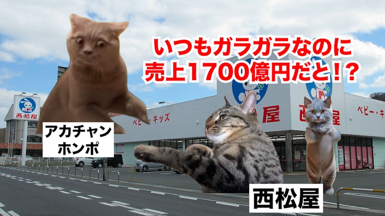 【西松屋】店内ガラガラなのに大儲け！？逆転の発想で売上1700億円を叩き出すベビー用品チェーン #猫マニ #猫ミーム