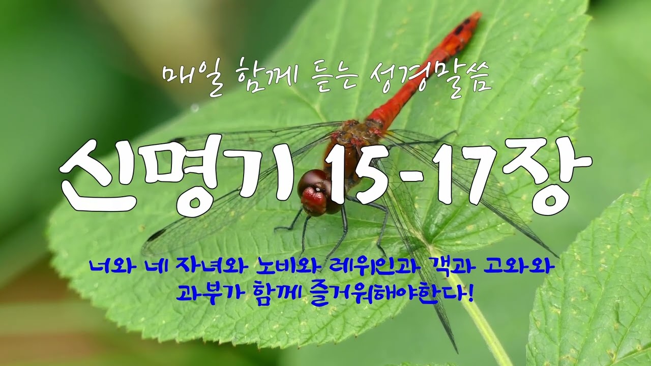 신명기 15-17장 (개역개정) 매일 듣는 365일 성경통독