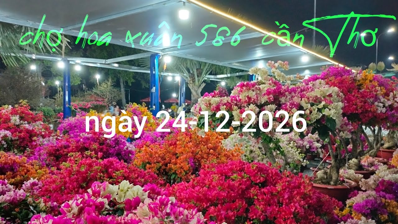 Chợ hoa xuân 586 cần Thơ điểm bán hoa kiểng mới 