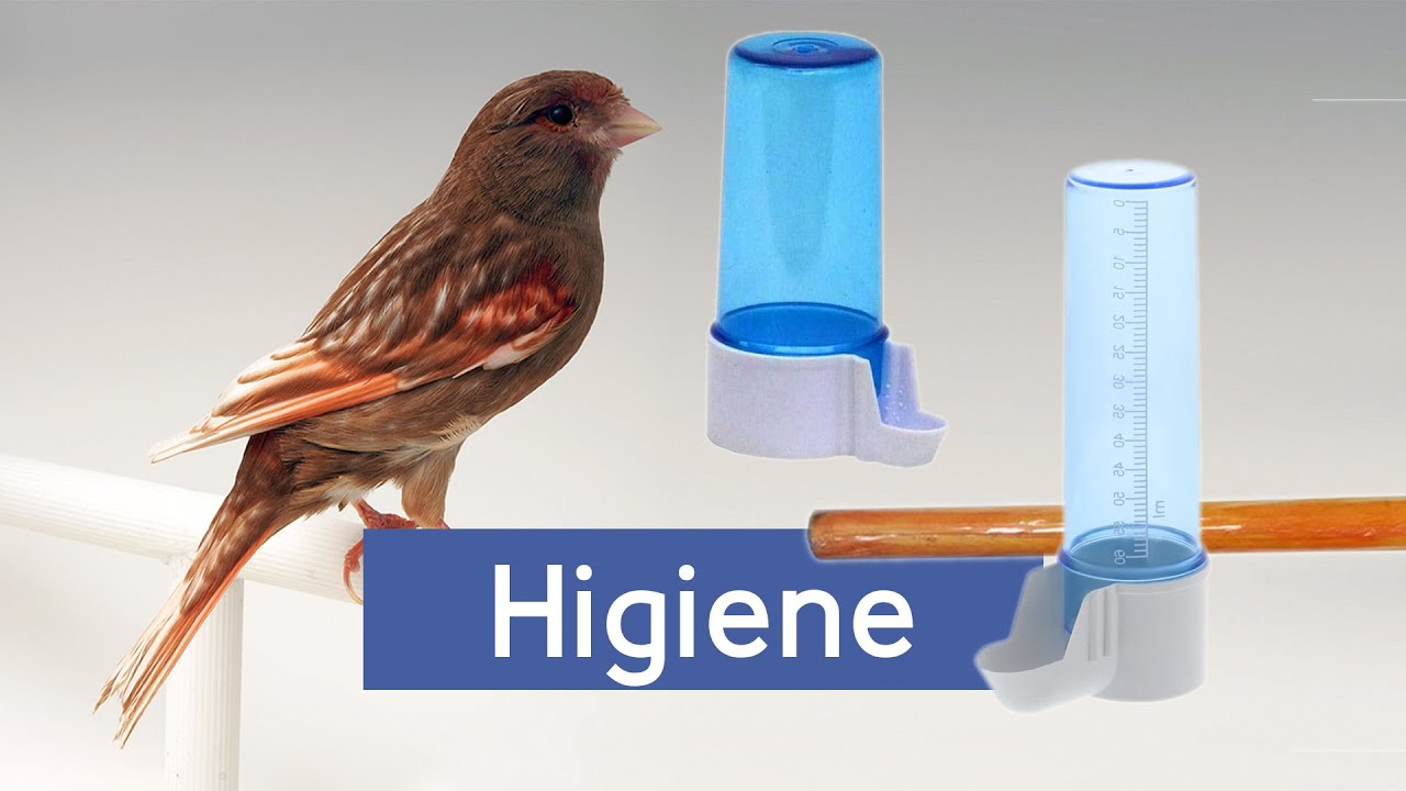 Higiene nos Criatórios - como limpar e desinfetar