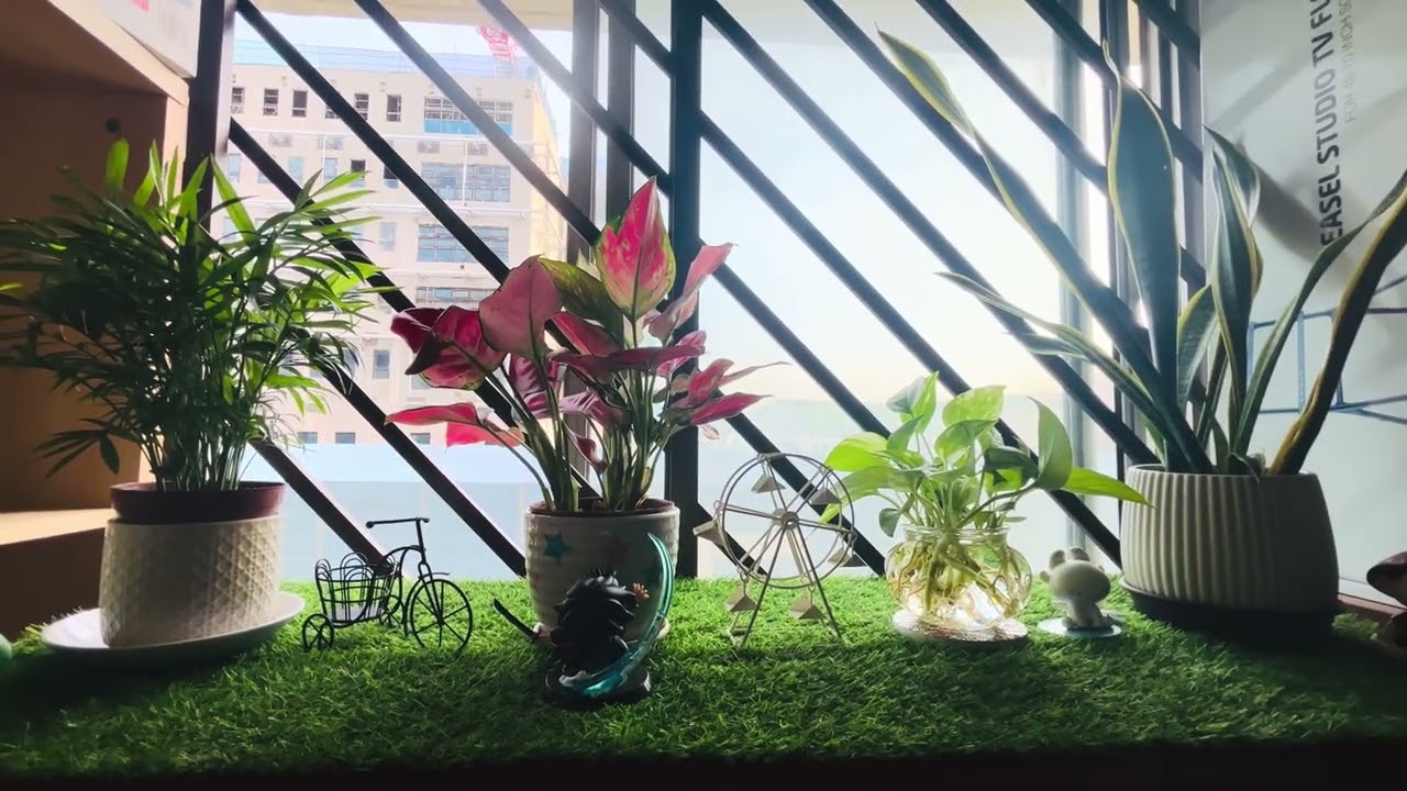 DIY Mini Garden 🌱 | Easy & Budget-Friendly Garden Project