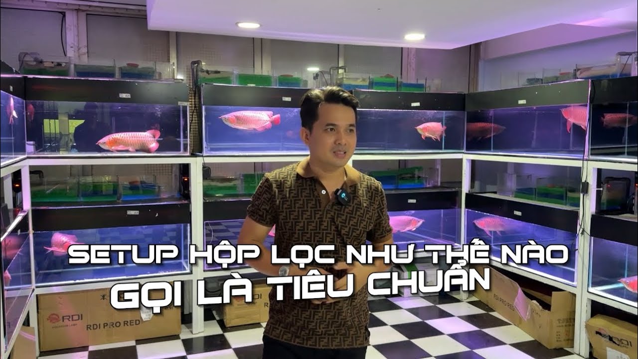 Thế nào là SETUP MỘT HỘP LỌC TIÊU CHUẨN ? Lọc thô, lọc tinh là gì ?