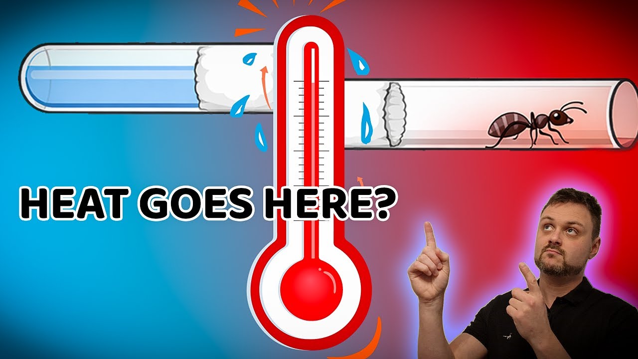 The Most Common Ant Heating Mistake (And How to Fix It)