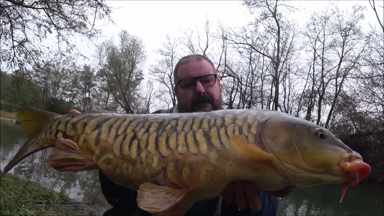 Il galleggiante affonda per un pesce incredibile, filo 0,40