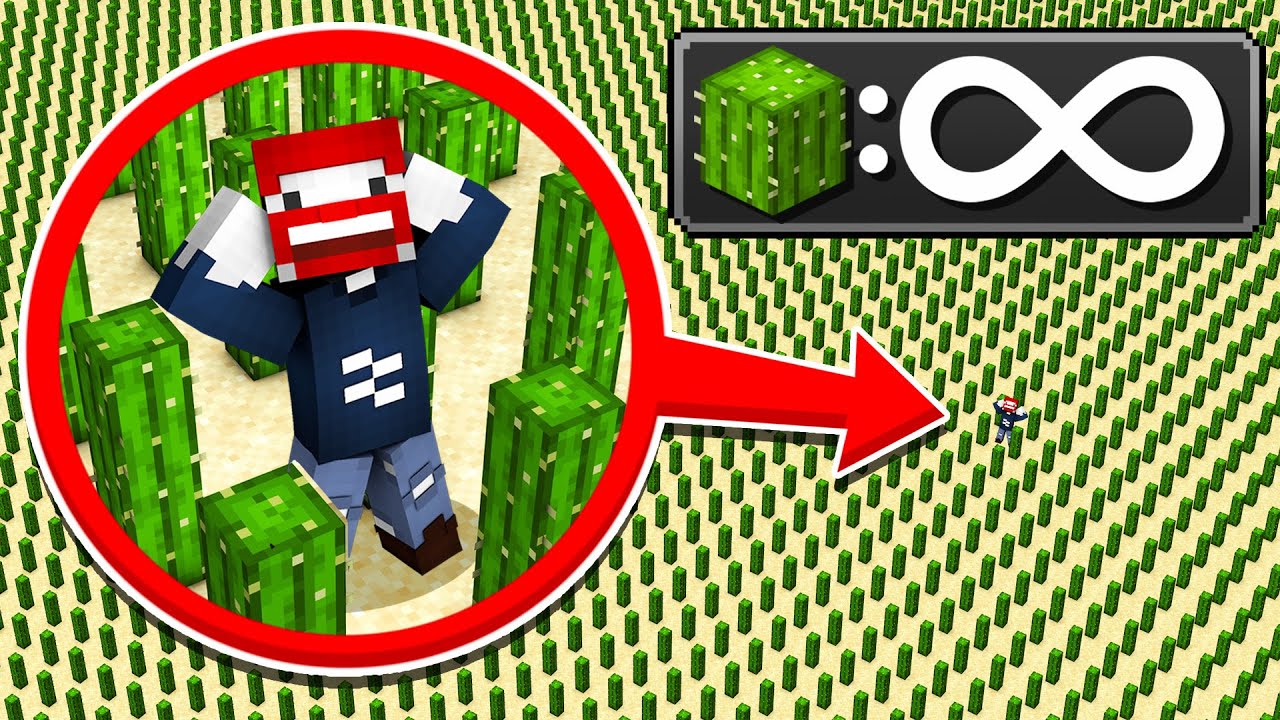 MINECRAFT mit 1.000.000.000 KAKTUS 