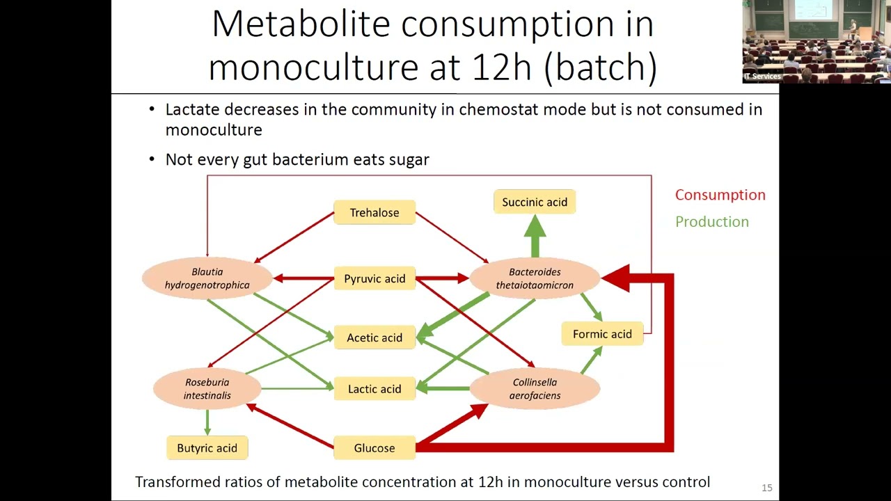 Dr. Karoline Faust | Application of microbial community models to human gut bacteria – challenges...