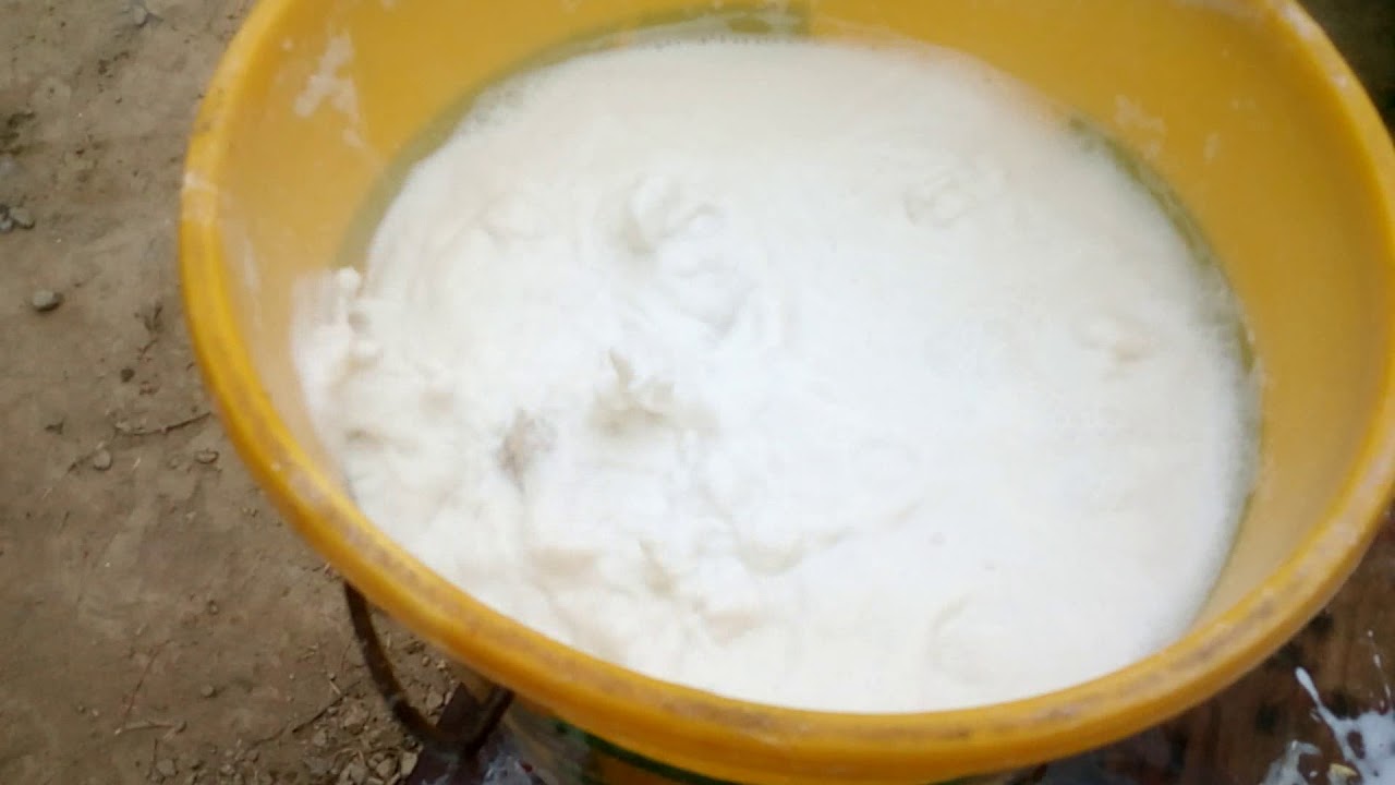 quicklime and water exothermic reaction