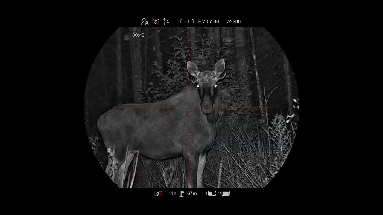 PARD NIGHT STALKER 4K eX 70 850/LRF