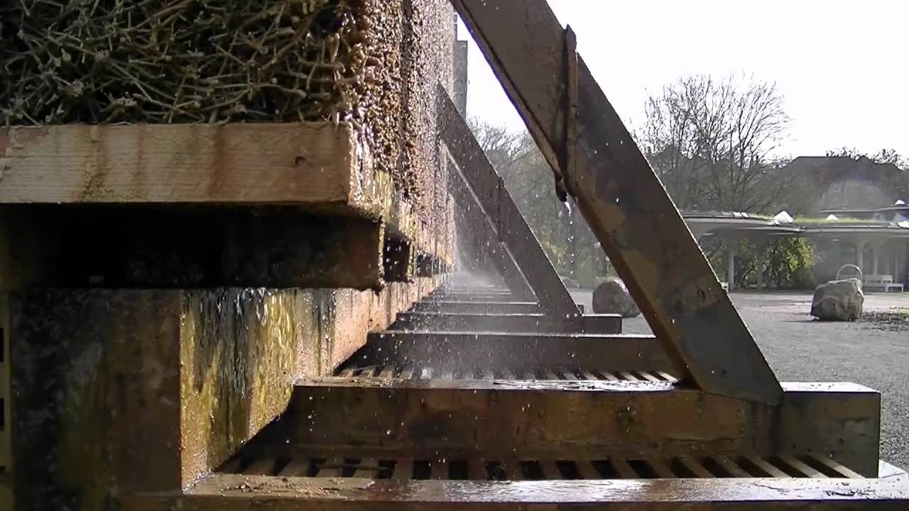 Bad Salzuflen ( Kurzfilm )