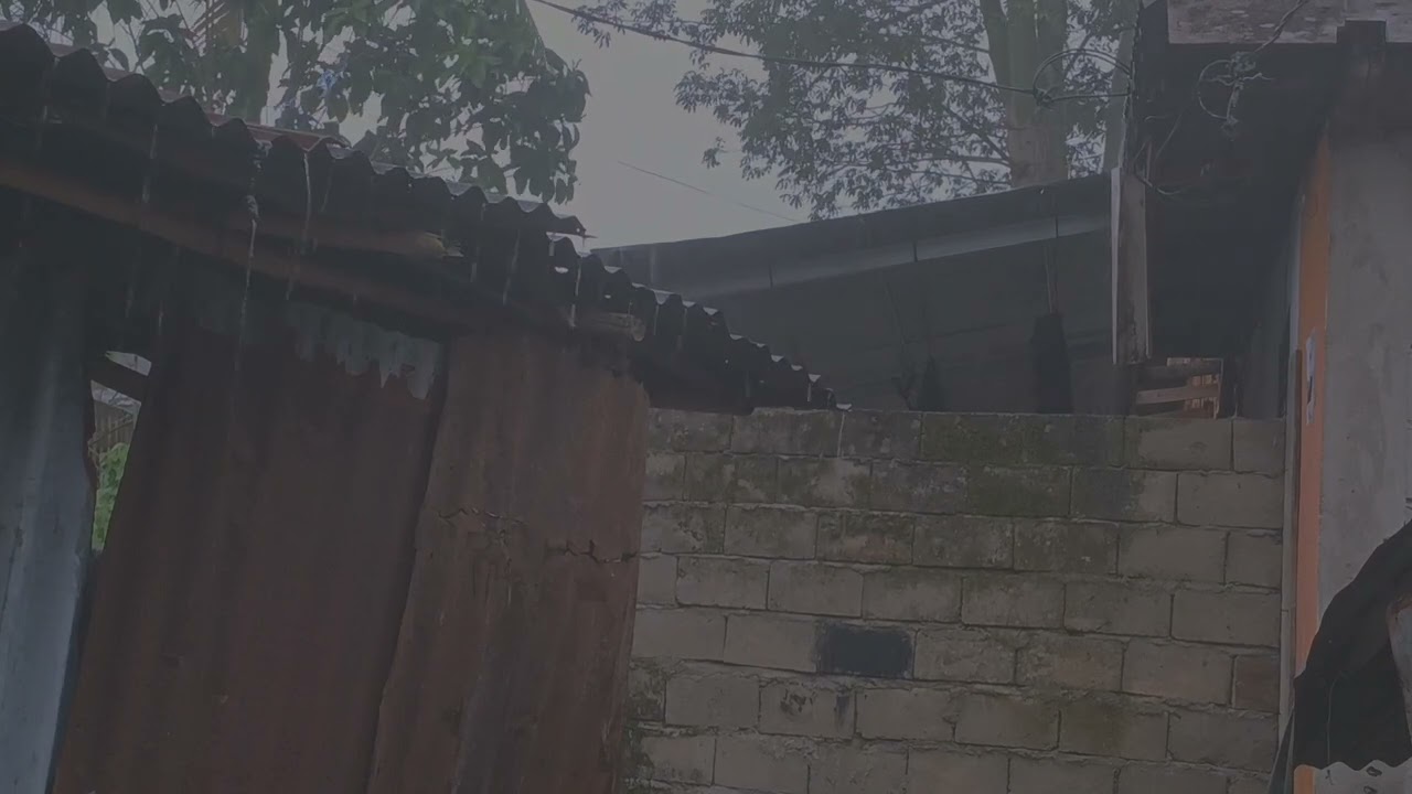 Echoes of Rain Sounds: Thunderstorms and Rain on a Tin Roof