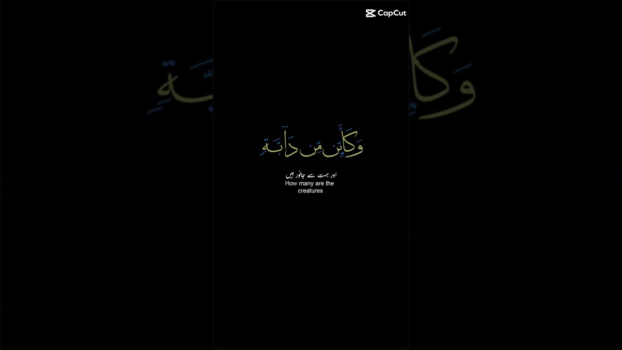 Beautiful Recitation 