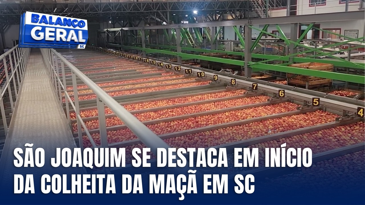 São Joaquim inicia colheita da maçã em Santa Catarina