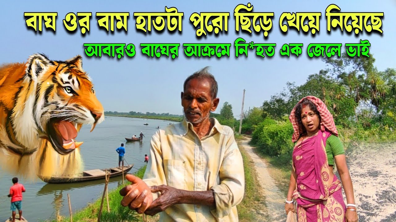 যখন সবাই গিয়ে দেখে ওর বাম হাতটি বাঘ ছিঁড়ে খেয়ে নিয়েছে😱//tiger attack in sundarban//sundarban 