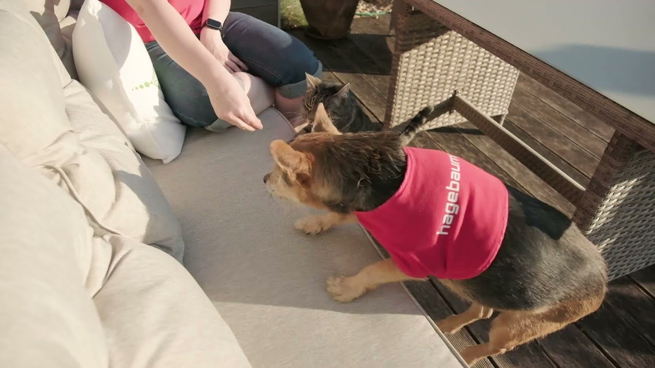 Tipp-Clip💡I Gartenmöbel Trends I VOGL Baumarkt