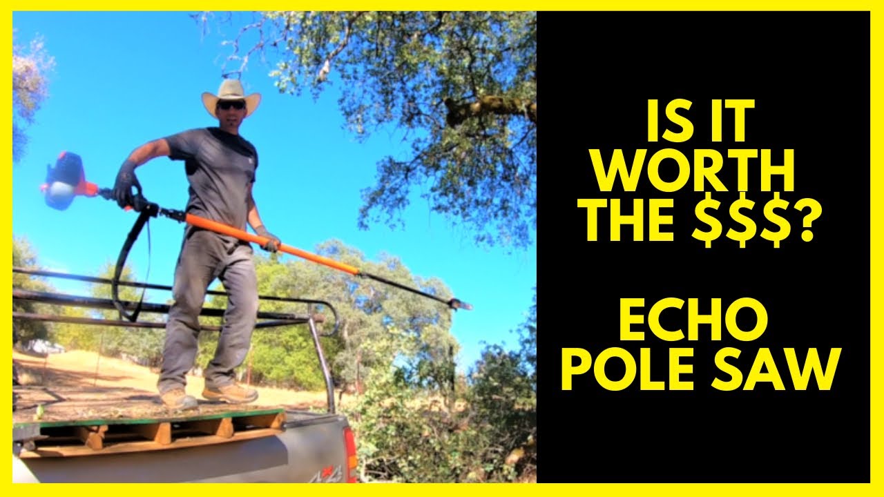 Echo PPT2620H Pole Saw / Power Pruner 1 Year Review!!!