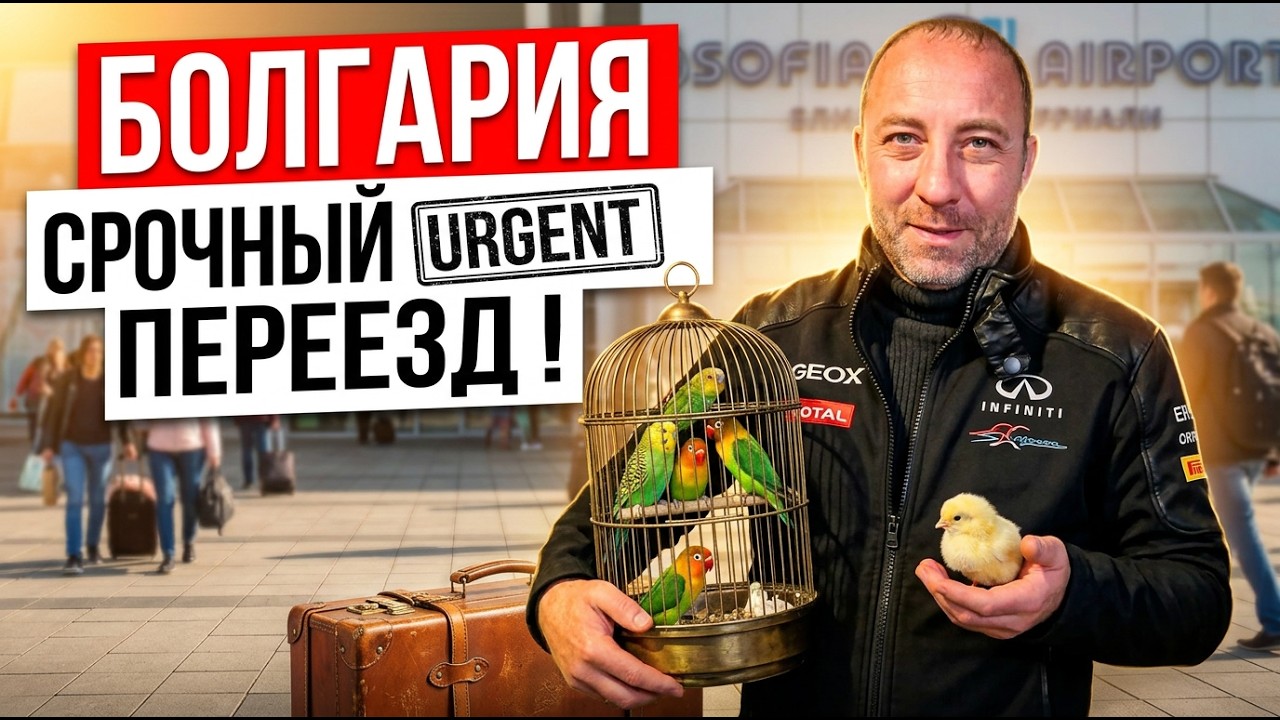 Болгария! Срочный переезд!