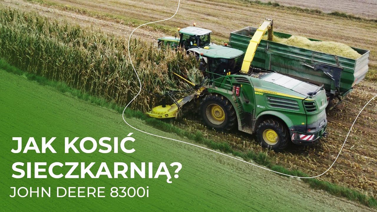 Koszenie kukurydzy sieczkarnią John Deere 8300i