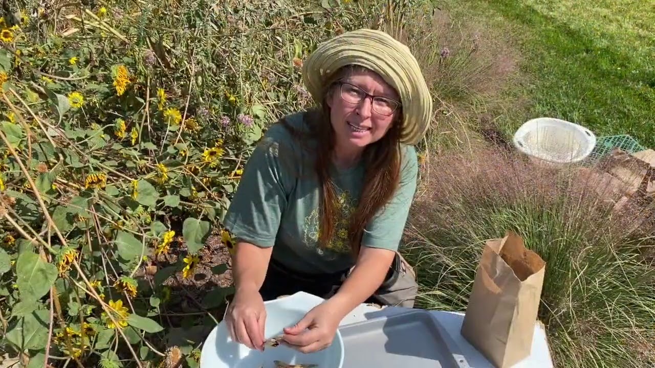 Native Seed Collection & Cleaning Strategies