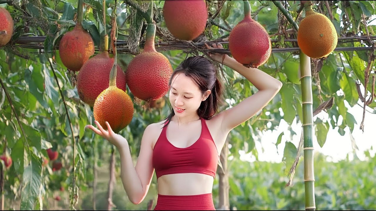Gac Fruit Harvesting & Farm to Market Journey &ndash; A Rural Girl&rsquo;s Life