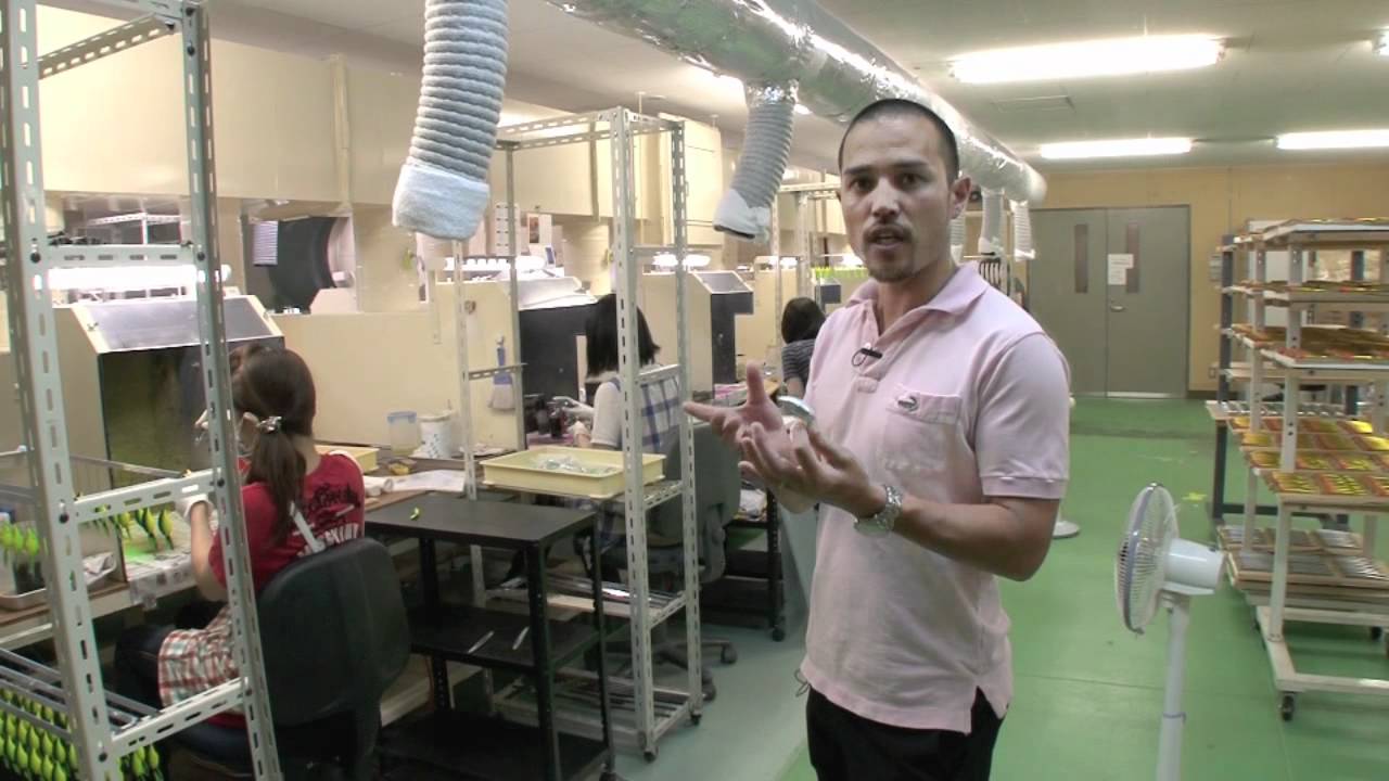 DUO`s Factory - Inside the manufacturing process of lures
