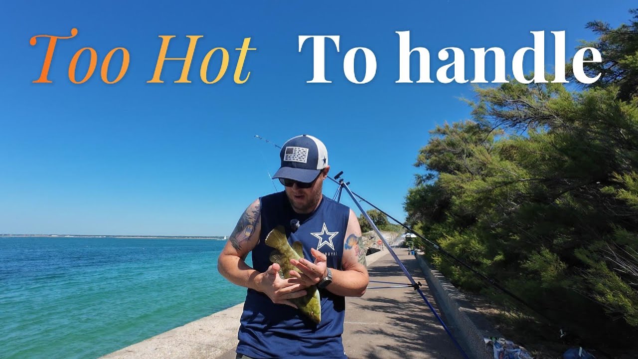 Too Hot to Handle! Wrasse, Bream & Bass at Totland Bay. -West Wight Danglers  Round 11.