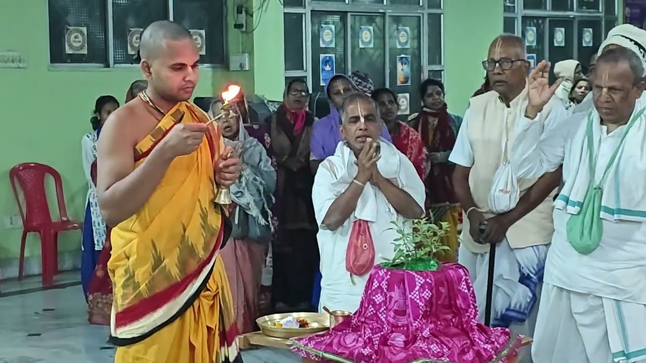 Tulsi Arati Kirtan by hundreds of devotees at ISKCON Burla #iskcon #tulsi #ramtemple 
