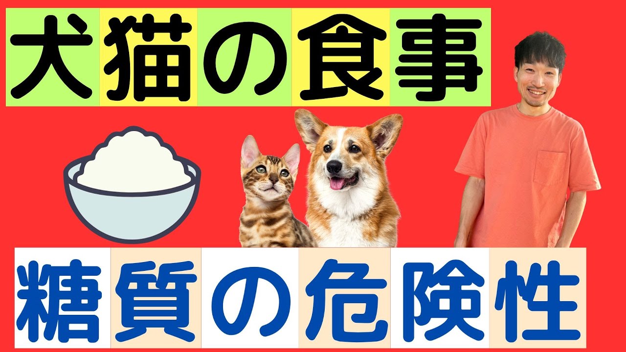 犬猫に糖質や炭水化物をあげる危険性【果物・野菜・米・イモ】