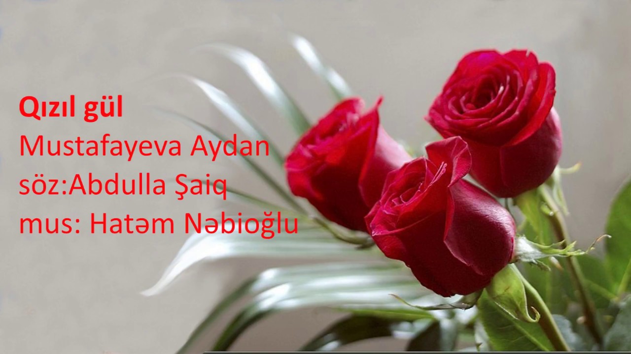 QİZİL GUL - Mustafayeva Aydan (ushaq mahnilari)